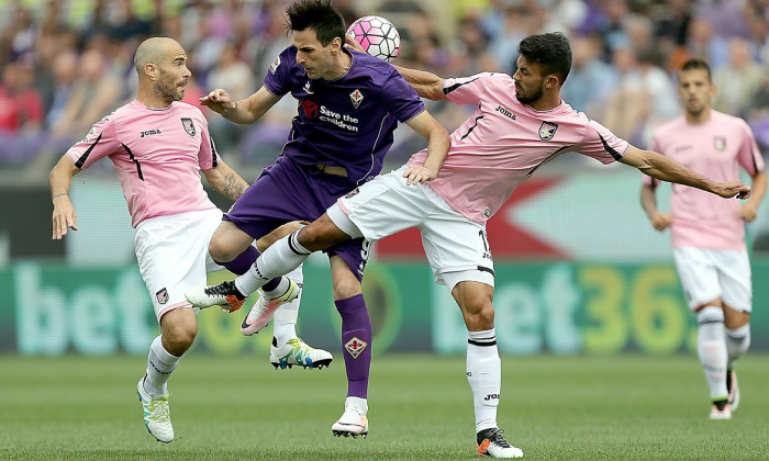 fiorentina palermo