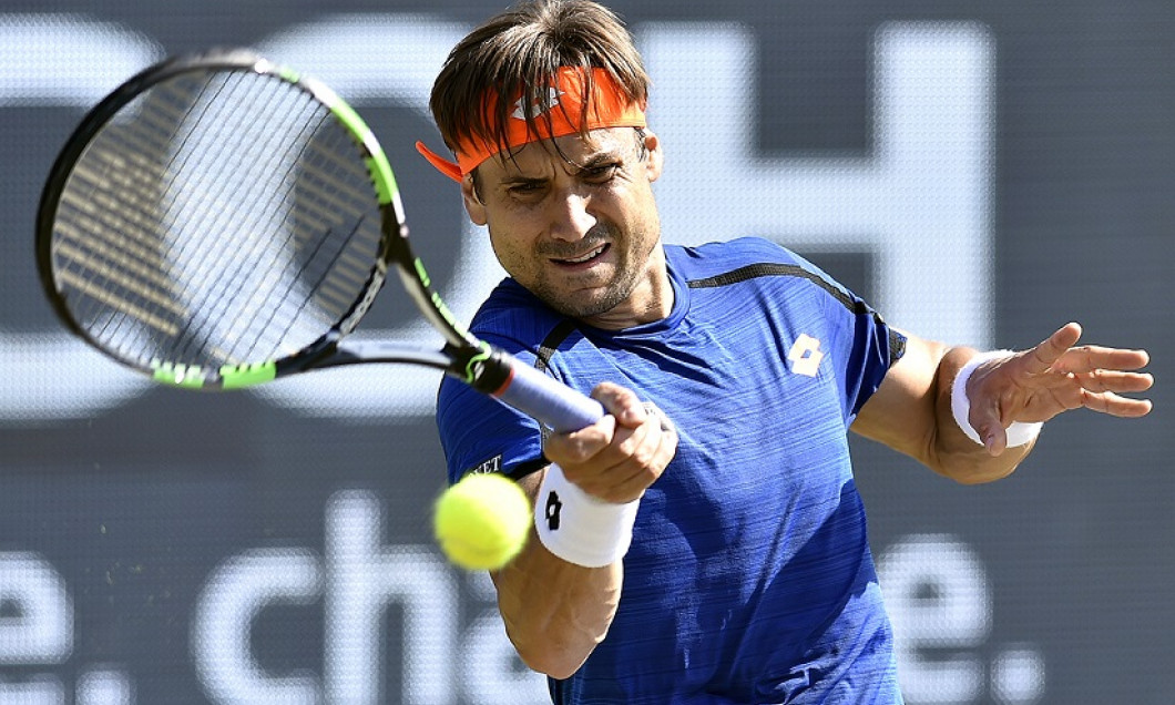 David-Ferrer