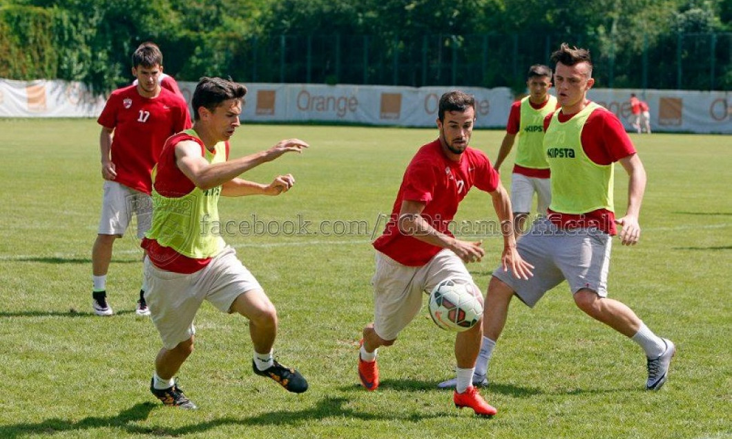 Dinamo amical