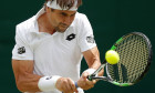 Ferrer Wimbledon