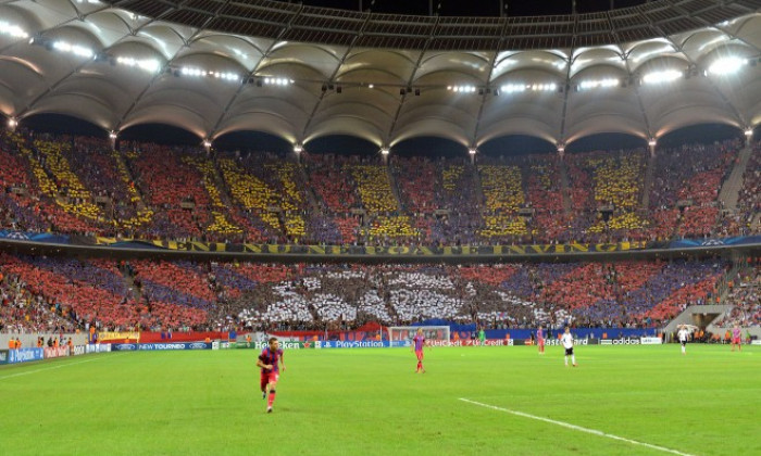 steaua fani