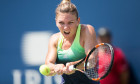 HALEP TENIS