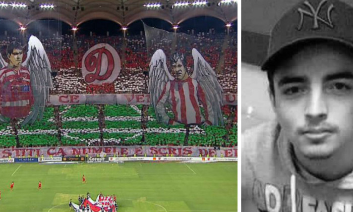 collage fan dinamo