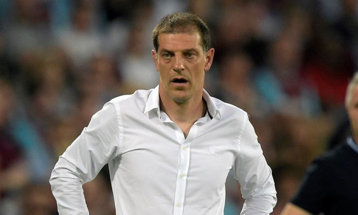 bilic