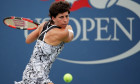 suarez navarro