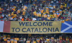 barcelona steaguri fani