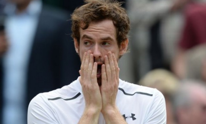 andy murray