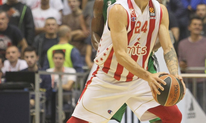 steaua rosie baschet
