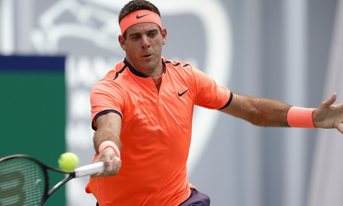 del potro