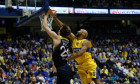 Fener Maccabi