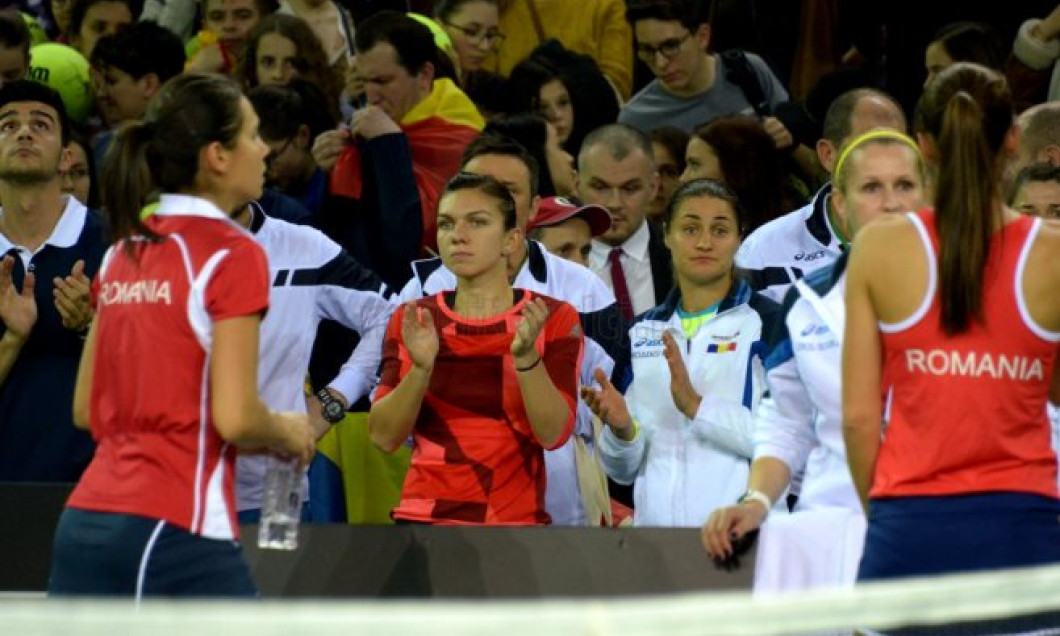 halep olaru fed cup