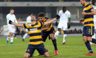 deian boldor gol hellas verona