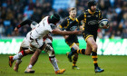 wasps toulouse