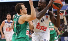 zalgiris real