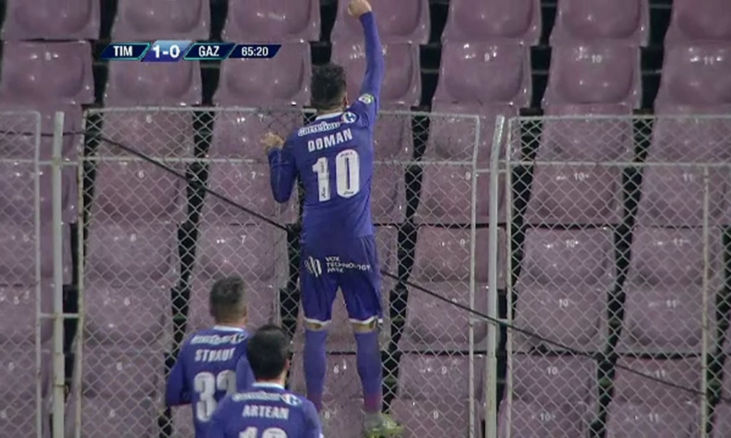 captura doman pe gard