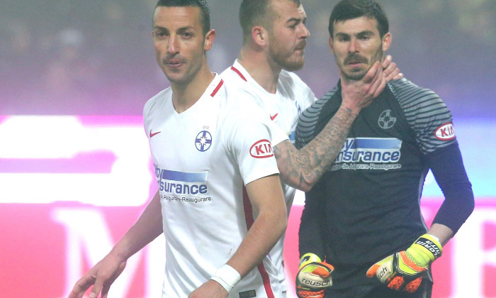 steaua alibec