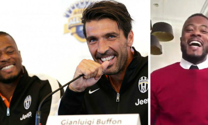 collage buffon