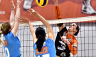 volei