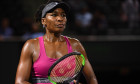 venus williams