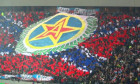 csa steaua