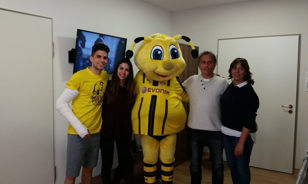 mascota BVB