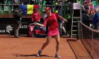 halep final