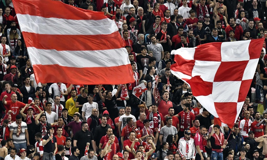 dinamo fani