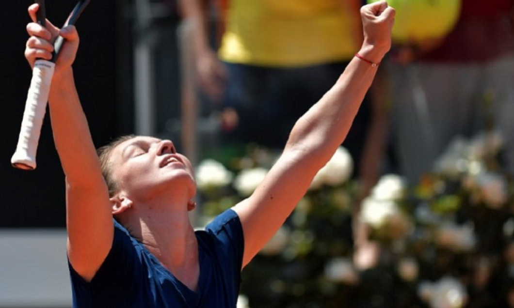 halep bertens