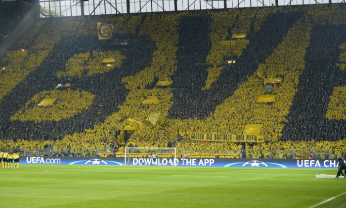 BVB coregrafie