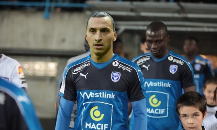 zlatan chamois