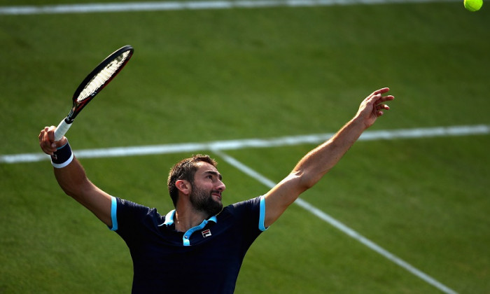 cilic-1