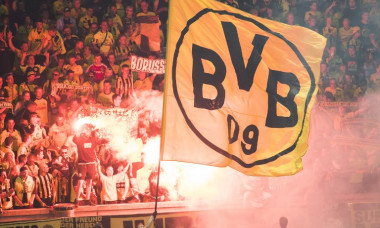 BVB fani