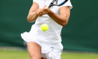 monica niculescu wimbledon