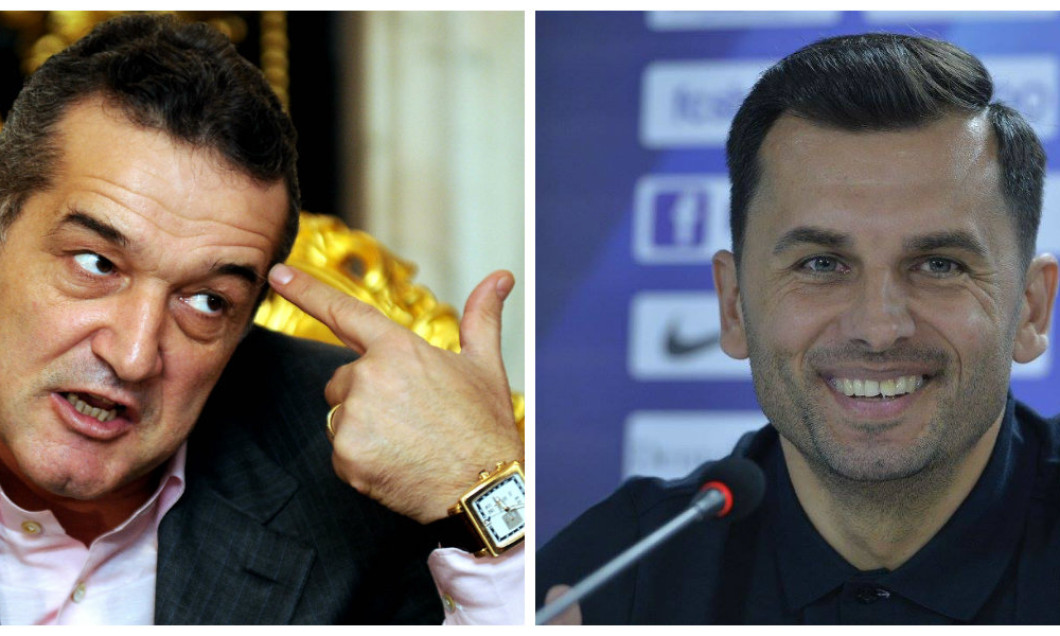 collage becali dica