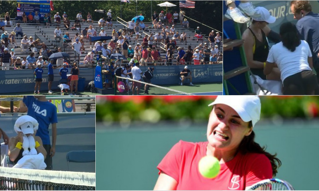 colaj halep niculescu