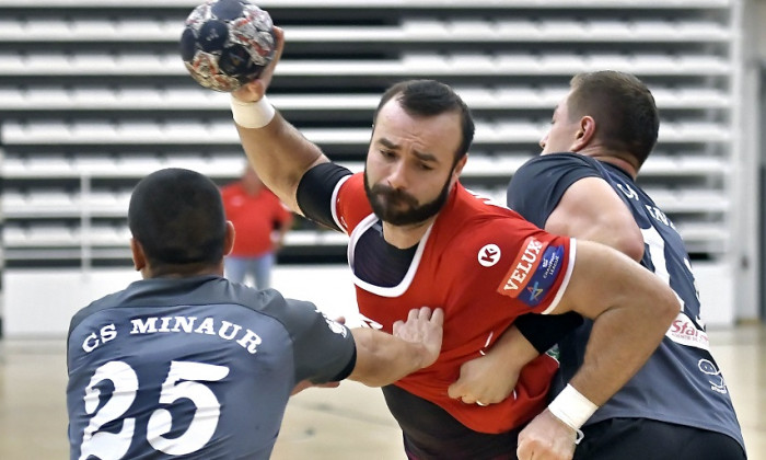 handbal dinamo