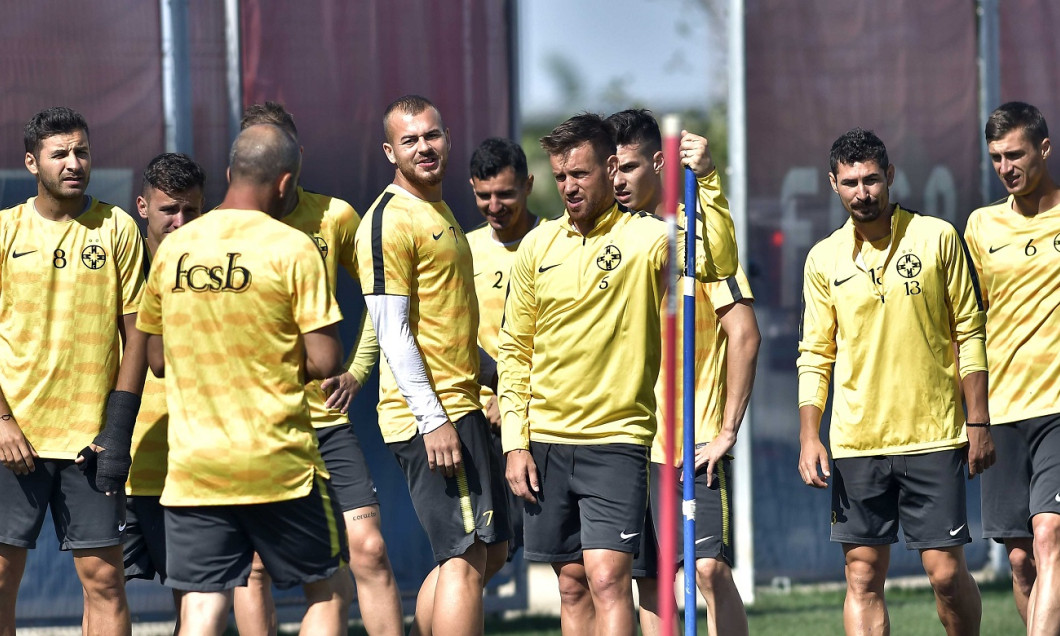 alibec antr steaua