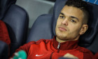 ben arfa