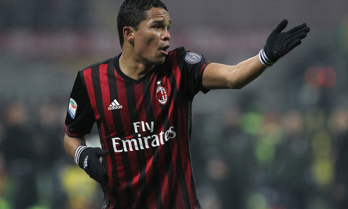 bacca