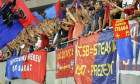 fcsb