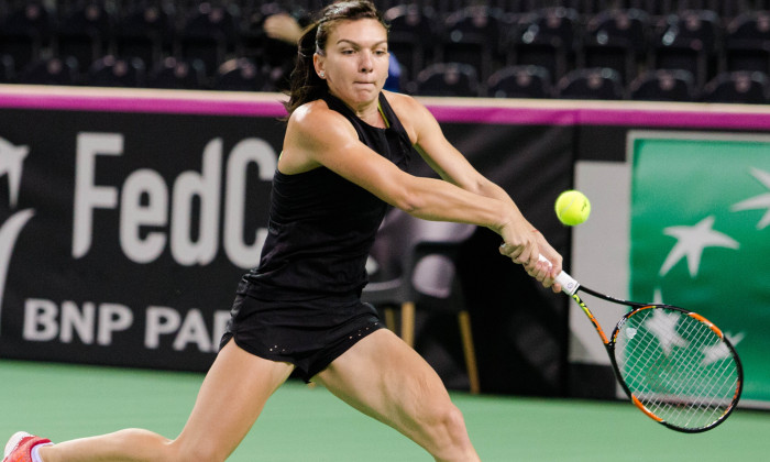 halep fed cup cluj