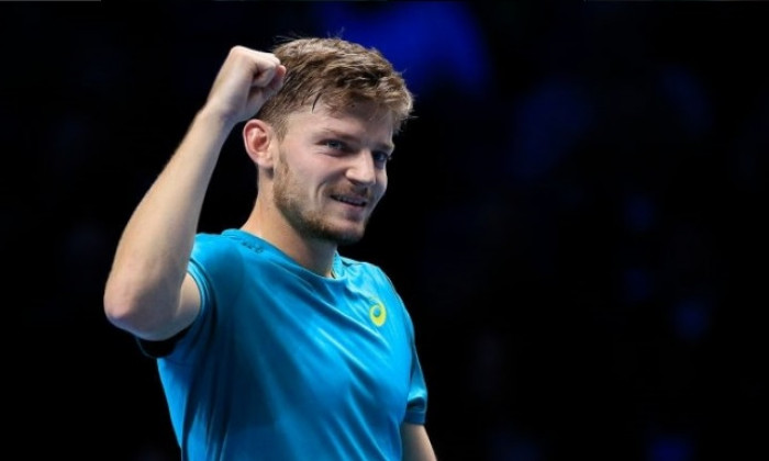 goffin