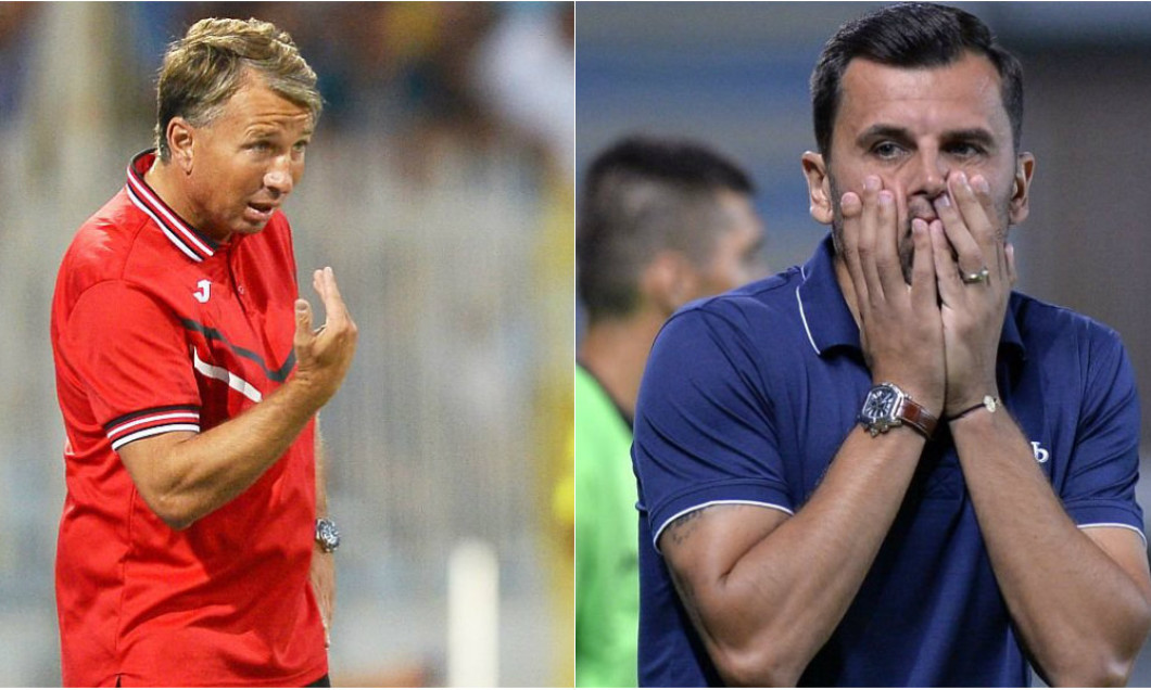 dica dan petrescu