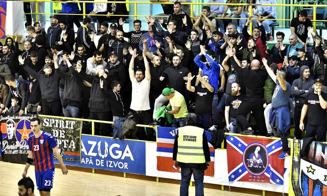 fani handbal