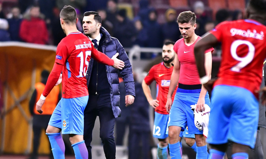 steaua dica