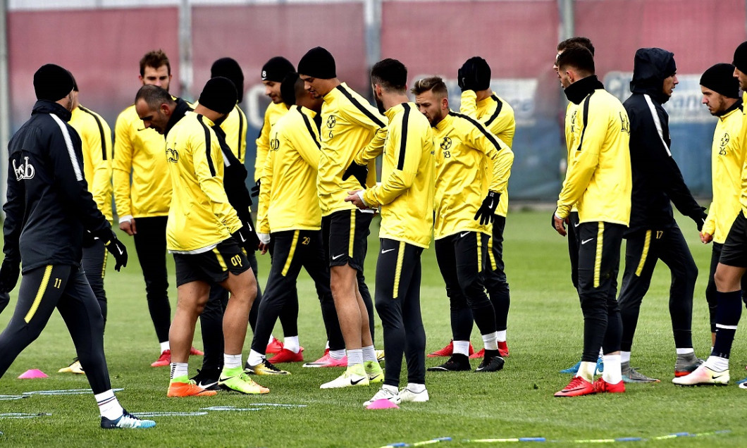 steaua