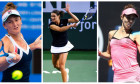 collage Begu Niculescu Buzarnescu