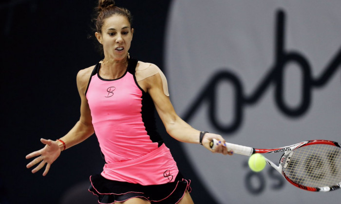 buzarnescu