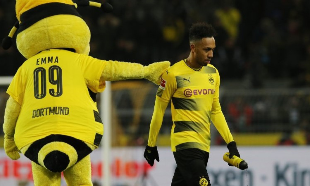 Aubameyang mascota