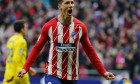 torres